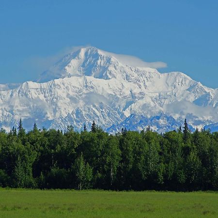 Mckinley View B&B Trapper Creek Экстерьер фото