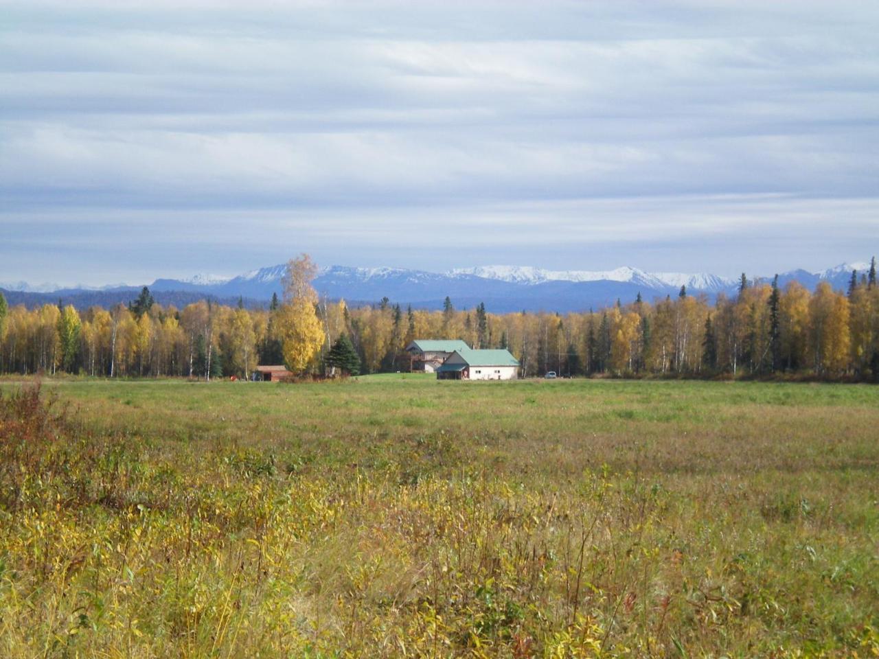 Mckinley View B&B Trapper Creek Экстерьер фото